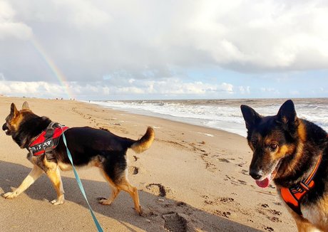 巨乳とお尻のOnlyFans 素敵 写真