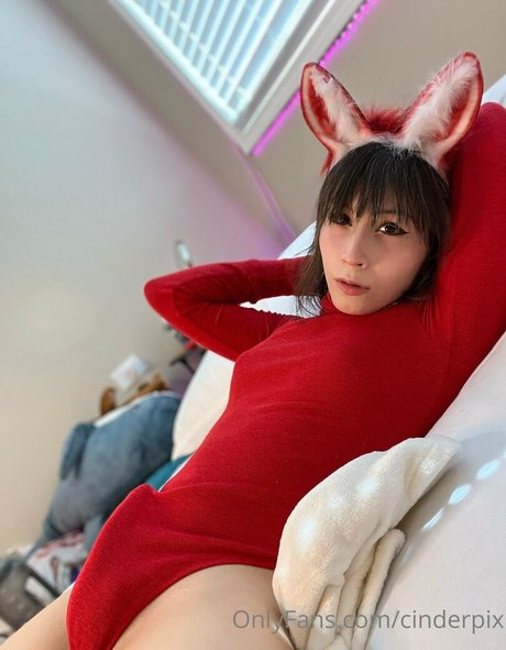 cinderpix HDモデル 写真