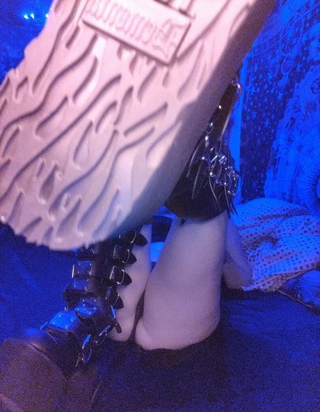 kittens playpen 限定モデル 画像