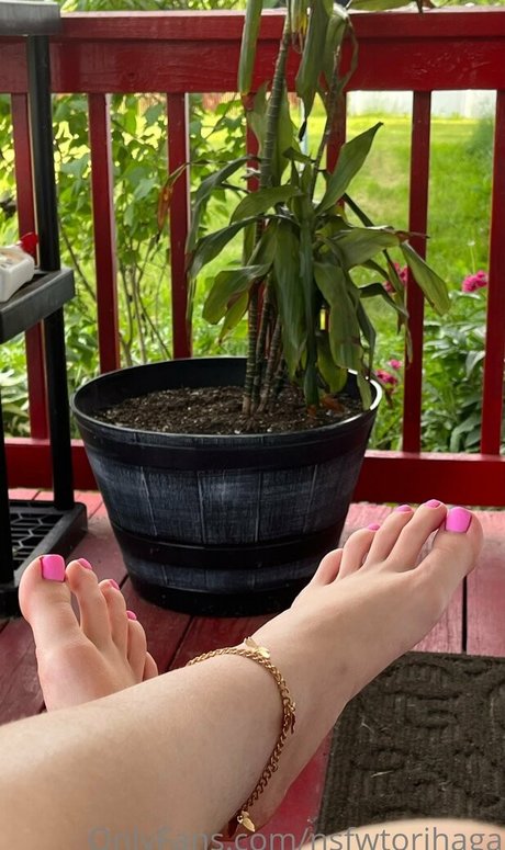 nsfwtorihaga 高品質スター アーカイブ