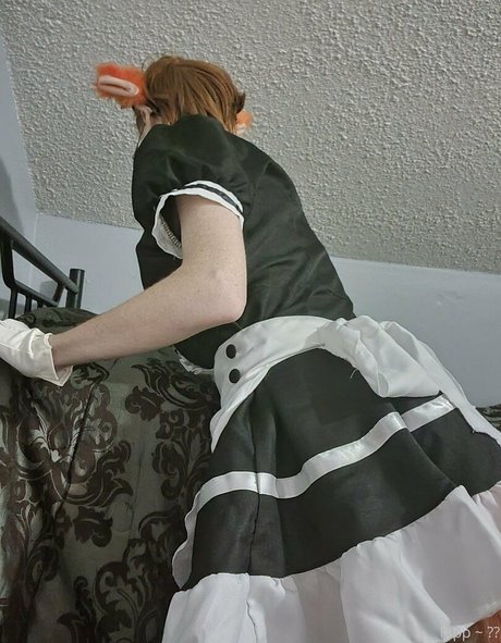 hexiesam 完璧なスター 写真