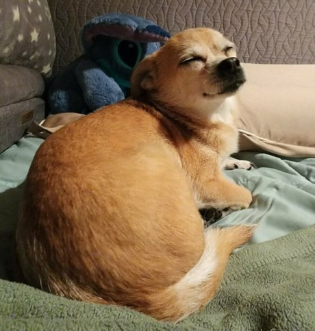 afaeded エロティックなモデル 写真