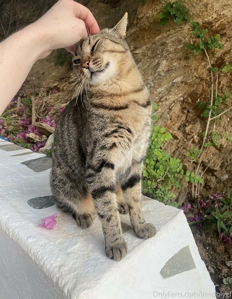 lowpolygf ポルノモデル 画像