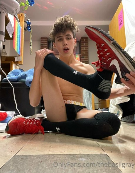 basilgray 完璧なモデル 写真