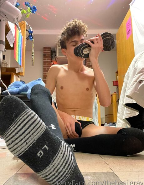 basilgray 無料スター 画像