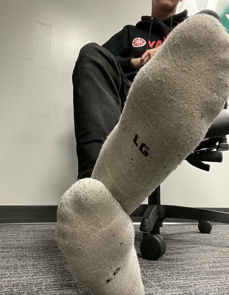 basilgray HDスター ギャラリー