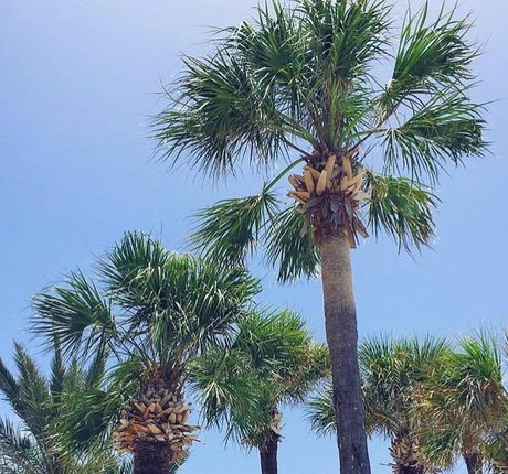 Michelle Balderrama 完璧な女優 ギャラリー