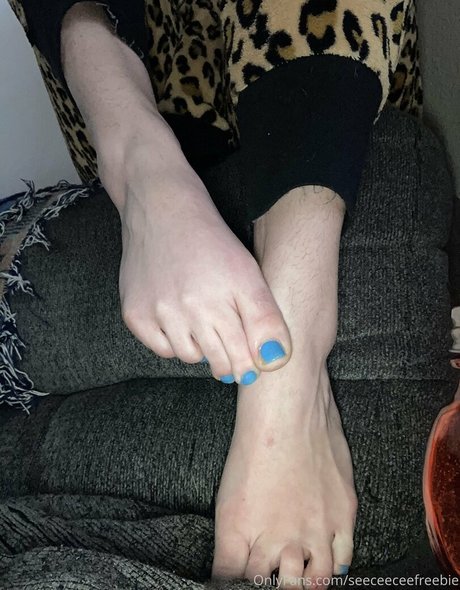 seeceeceefreebie 最高のスター ギャラリー