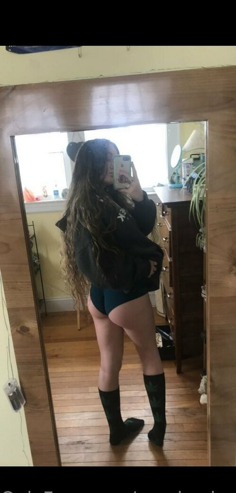 monica honey セクシーなスター 写真