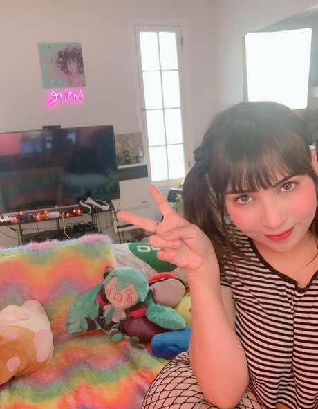 edie soft ポルノモデル 写真