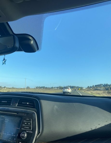 チンコを持つ女たち OnlyFans セクシーxxx 画像