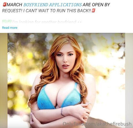 akathefirebush 素敵なスター 写真