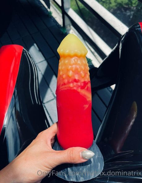 matrix dominatrix 高品質モデル 写真