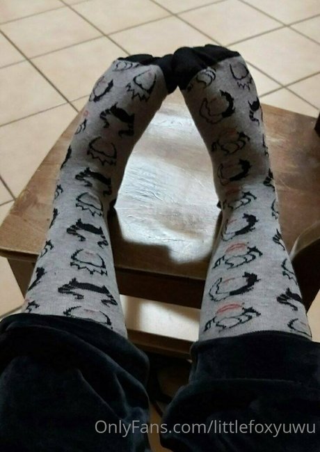 littlefoxyuwu 無料女優 画像