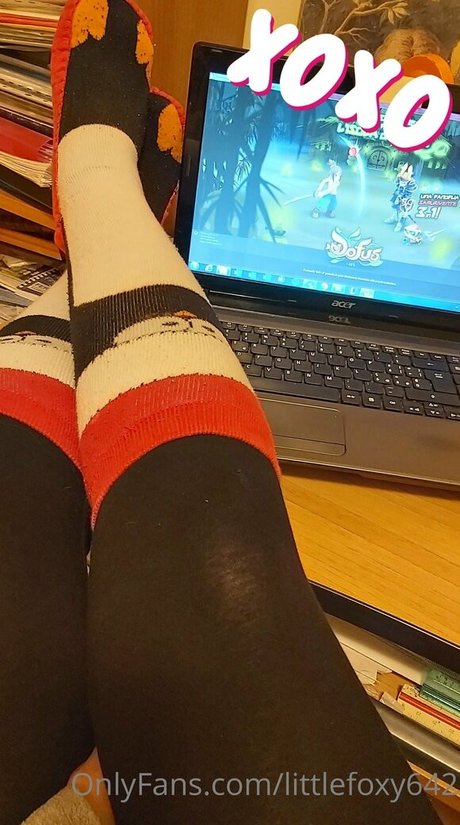 littlefoxyuwu ポルノスター 高品質 ギャラリー