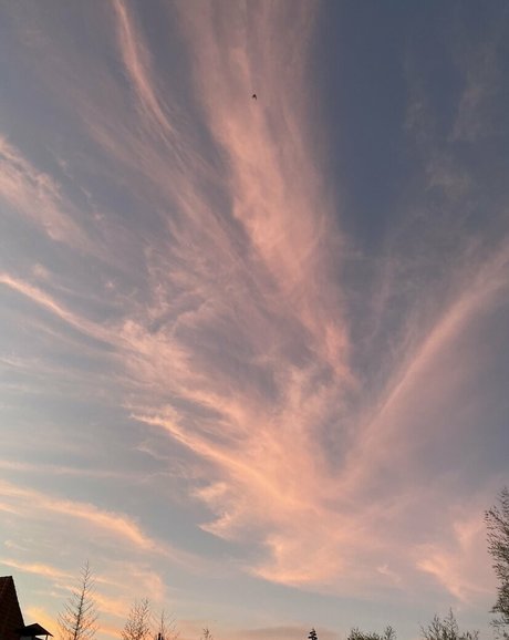 emily morgan ポルノスター パーフェクト アーカイブ