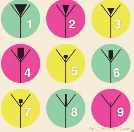 silkyvinyl 完璧なスター 画像