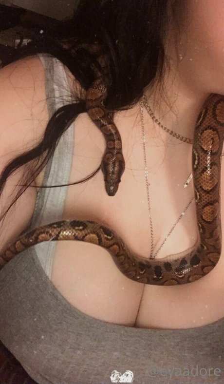 divine hedonist free セクシーなスター 画像