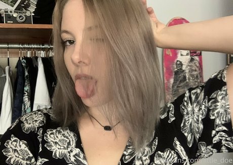 little doe HDスター 画像