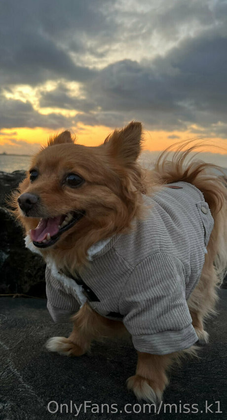 DMV オンリーファン 無料裸 画像