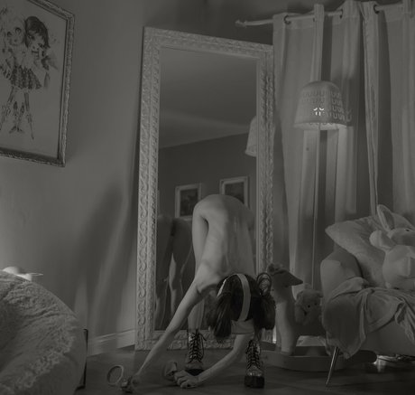 Snowybear 限定スター 画像