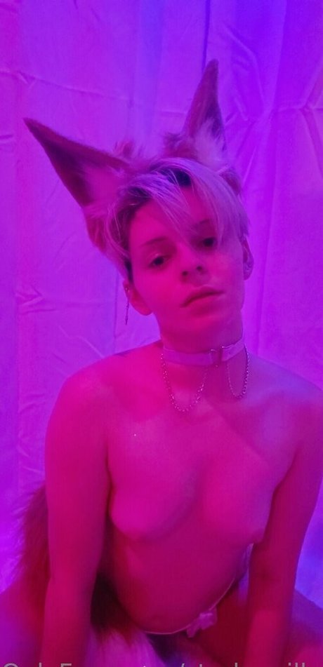 starkzzzilla ポルノモデル アーカイブ