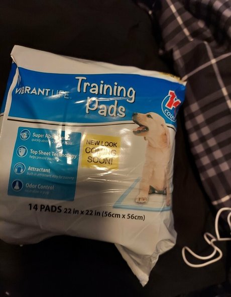 kinky907 ポルノモデル 写真