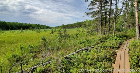 クソなOnlyFans アートポルノ アーカイブ