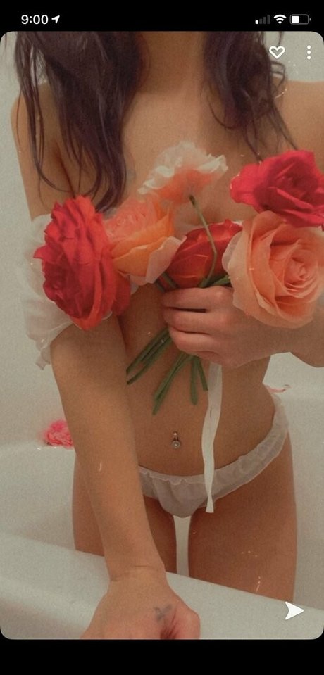 paisleypepper HDモデル 写真