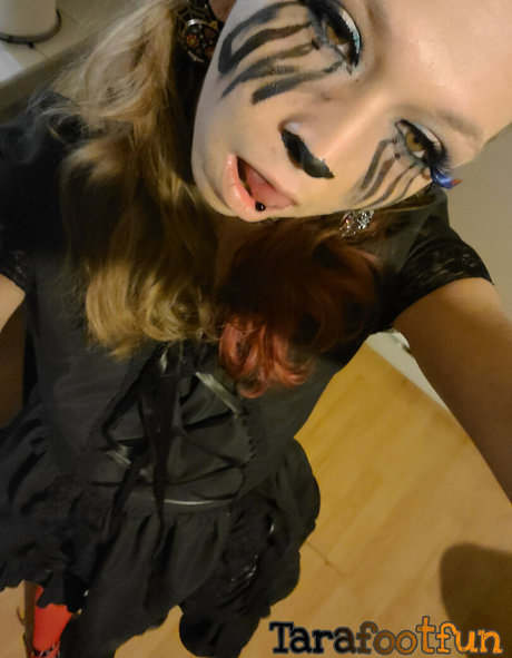 Tarafootfun HDスター 写真