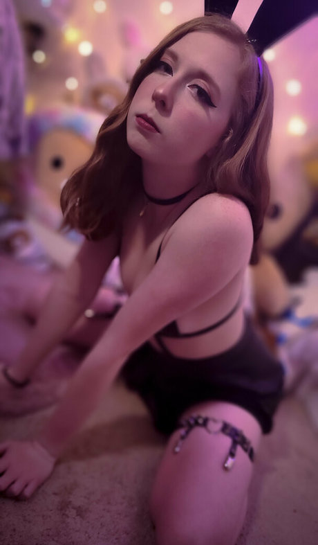 emswaifu HDモデル 写真