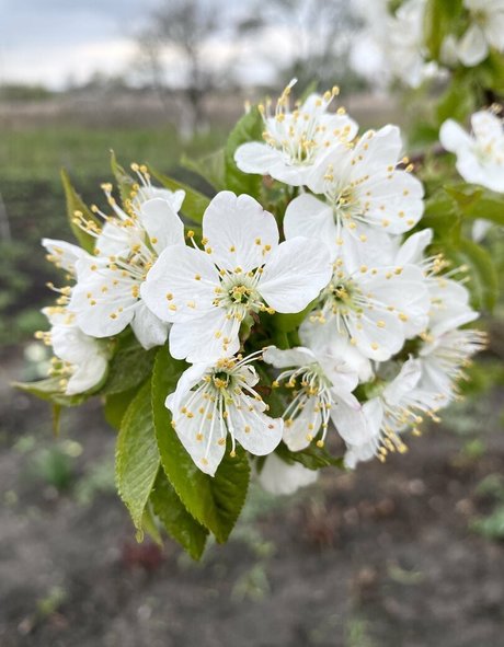 BBW 教師 OnlyFans 無料ポルノ 写真