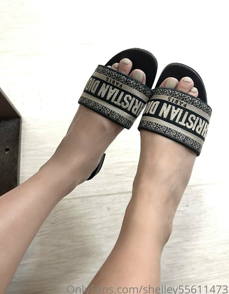 shelley55611473 ホットスター アーカイブ