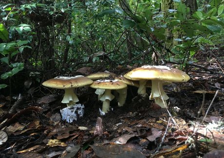 アヘ顔 OnlyFans ホットセックス ギャラリー