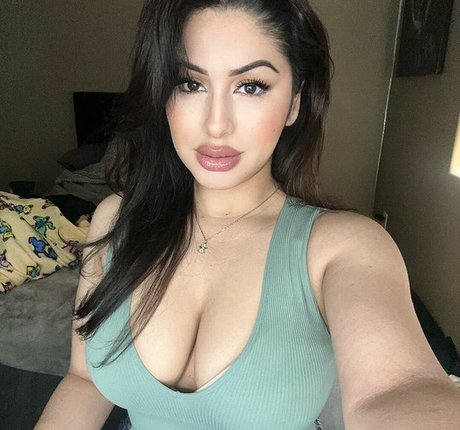 soir ellehcim 最高のポルノスター 画像