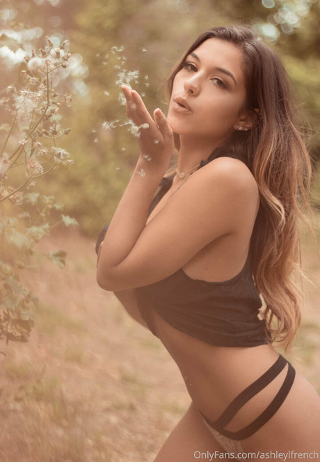 ashleylfrench 完璧なスター 写真