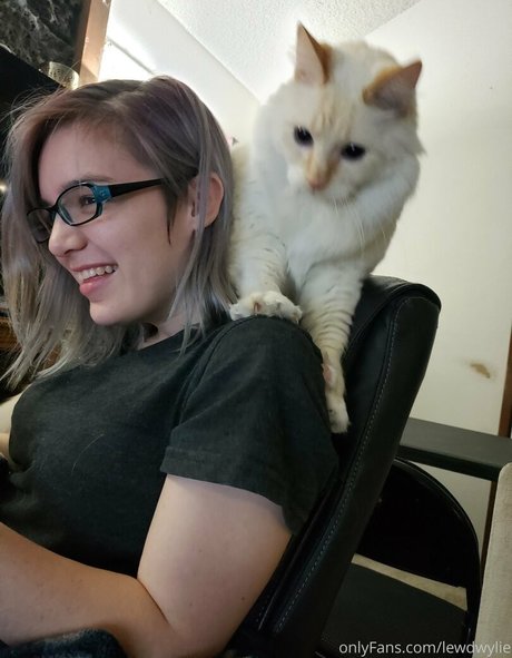 lewdwylie 女優 写真