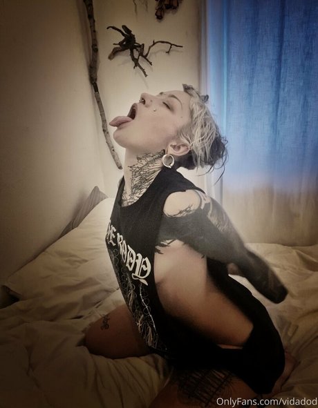 deadlexi アートスター 画像