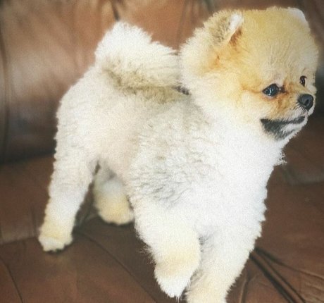 バイセクシャルカップルのOnlyFans アートヌード 写真