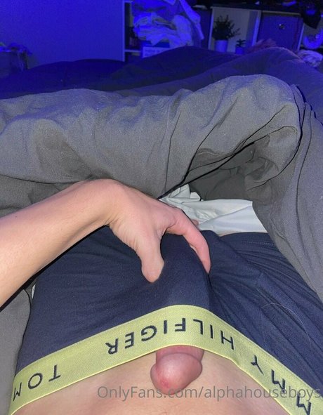 alphahouseboys HDモデル ギャラリー