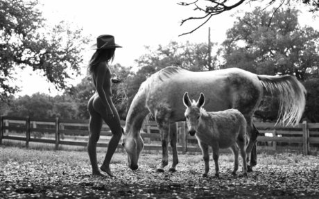 Mimi Elashiry ホットなポルノスター 画像