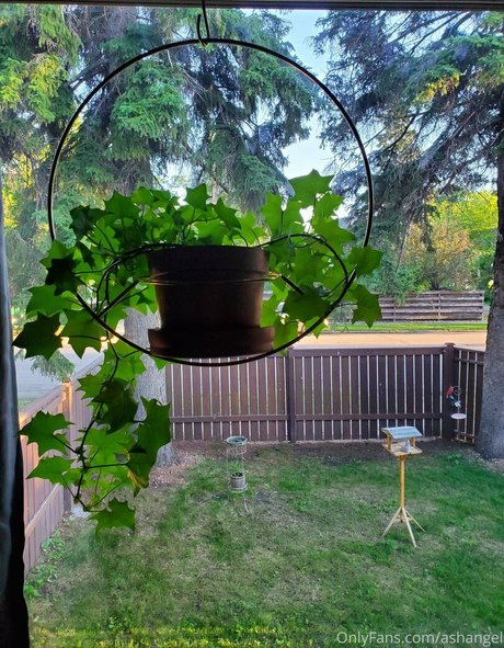 ashangel アート女優 画像