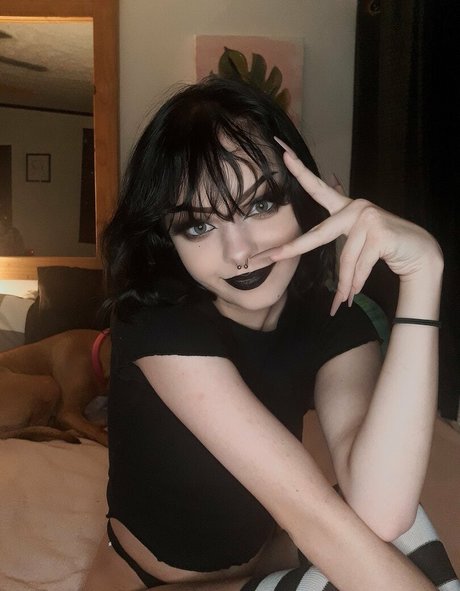 shayophelia アートスター ギャラリー