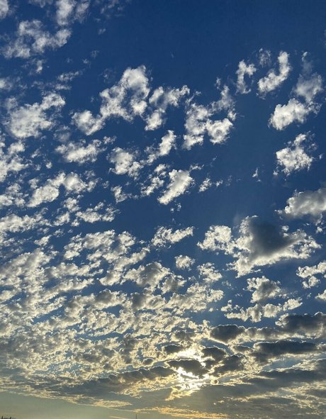 freebunbun 高品質のポルノスター アーカイブ