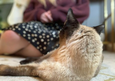 freebunbun 無料女優 ギャラリー