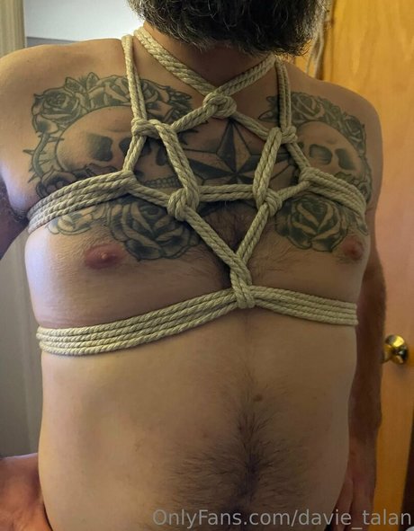 davie talan xxxポルノスター 写真