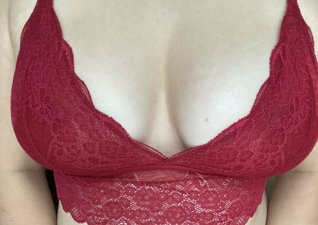 stella fox スター 写真