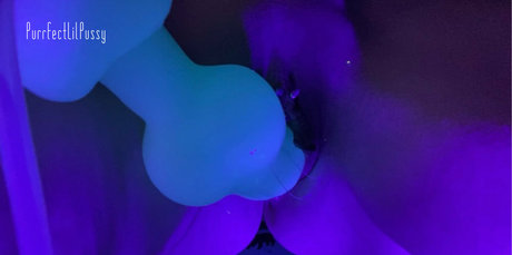 purrfectlilpussy トップ女優 画像