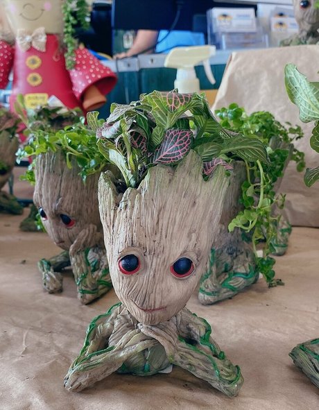 leanalovings 高品質スター 画像