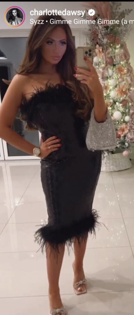 Charlotte Dawson HDモデル アーカイブ